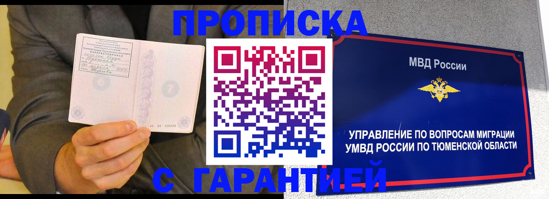 найти адрес прописки в Курчалом